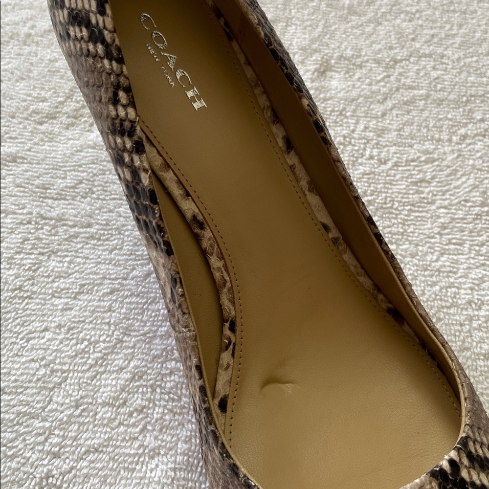 Coach Python Leather Pointed Toe Kitten Heels NWT - image 10